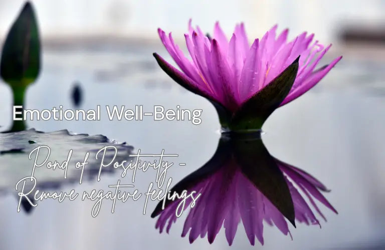 Remove Negative Feelings - Pond of Positivity Lighter Mind