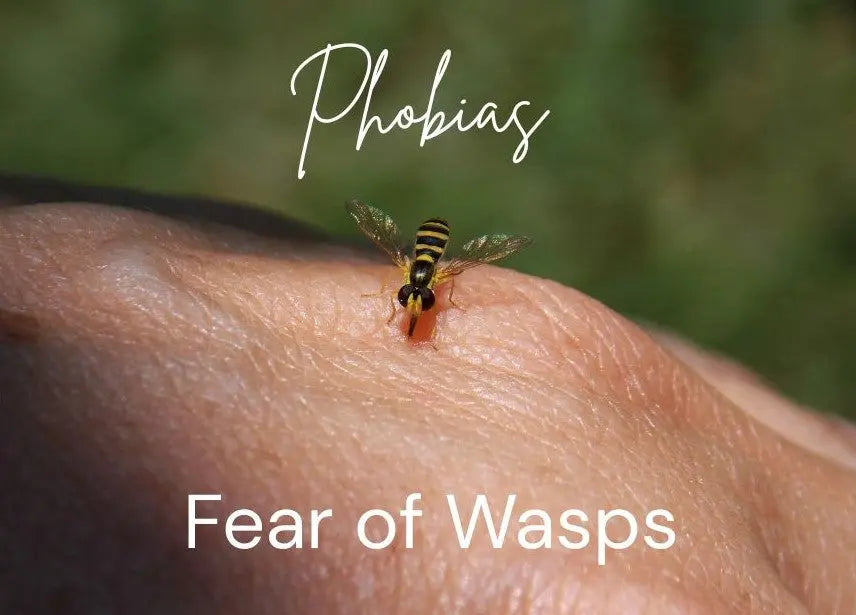 Fear of Wasps Lighter Mind